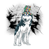 Shamans Husky Shaman Wolf Wolves