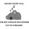 Koala Lazy
