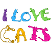 I love cats