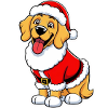 Christmas Dog