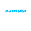 Maltese Malteser