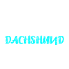 Dachshund Dackel