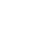 Glen d’Imaal Terrier