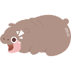 Moo Deng en colère Hippopotame