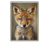 Coyotes Coyote