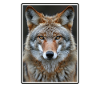 Coyotes Coyote