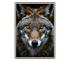 Coyotes Coyote