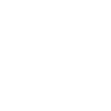 CEO: Conquer Every Obstacle