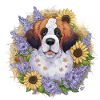 St. Bernard with sunflowers