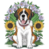 St. Bernard with sunflowers
