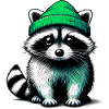 Raccoon