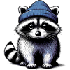 Raccoon