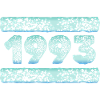 1993 1993