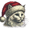 Chat de Noël