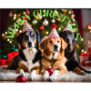 Christmas Dogs