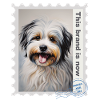 Airbrush-Illustration "Havanese 01" EN