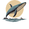 Orca, Whale, Animals, Ocean