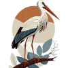 Cigogne, Oiseau, Naissance, Grossesse, Enceinte