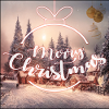 christmas noel