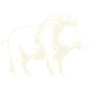 Wild Boar Animal 1