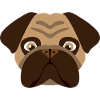 Hund Mops