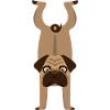 Dog Gymnastics Pug Handstand Gift