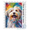 Airbrush-Illustration "Havanese 02" EN