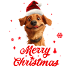 Merry christmas dog