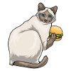 Siamese Cat Cheeseburger