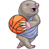 Taupe Basketteur Basketteur