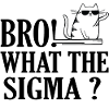 Bro what the sigma?