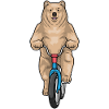 Bear Bicycle