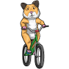 Vélo hamster