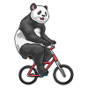 Panda Bike