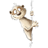 Droll Meerkat I Wild Animals