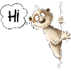 Hi Meerkat I Wild Animals