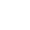 Wolf Boxer Arts Martiaux MMA
