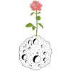 Die Blume und der schwarze Planet