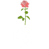 Die Blume und der weiße Planet