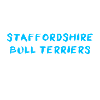 Staffordshire Bull Terrier