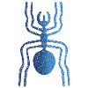 Nazca Spider Animal