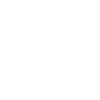 Kooikerhondje