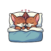 Official Sleeping House Abyssinian Cats
