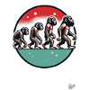 Evolution du singe