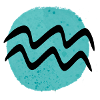 Zodiac sign Aquarius
