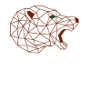 Baer Animal Graphic Design