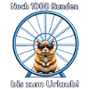 Urlaubsreif, Hamster im Laufrad