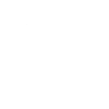 White daisy