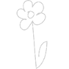 Gray daisy