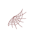 Two-Tone Spider Webs